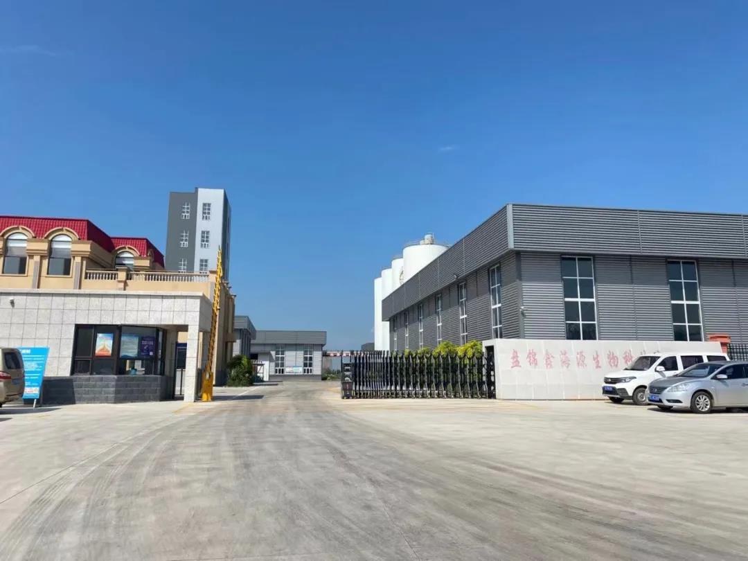 盘锦辽东湾新区粮油产业迈向高值化 植物油副产品转型润滑油的绿色路径